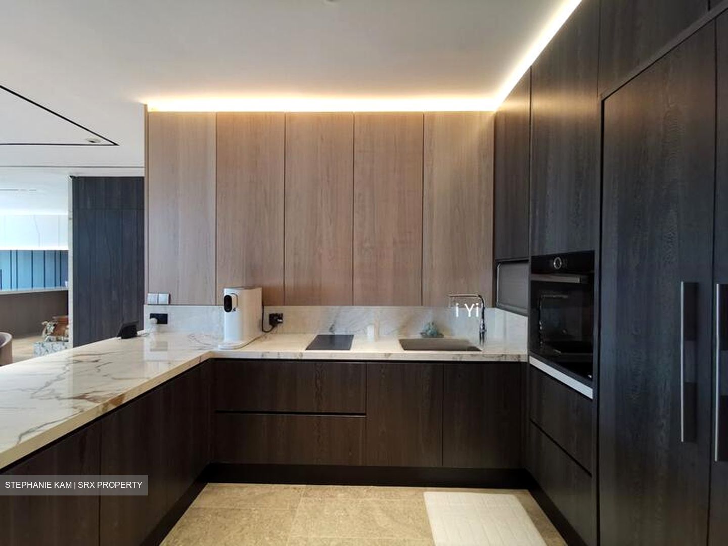 Frankel Estate (D15), Detached #423353471